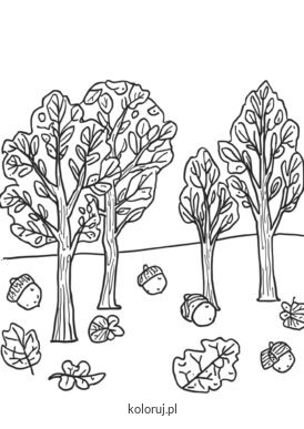 kolorowanka jesienne drzewa
