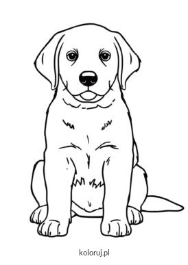 kolorowanka pies