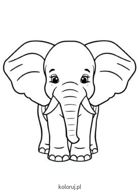 kolorowanka słoń