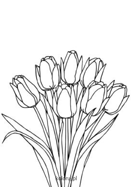 kolorowanka tulipany