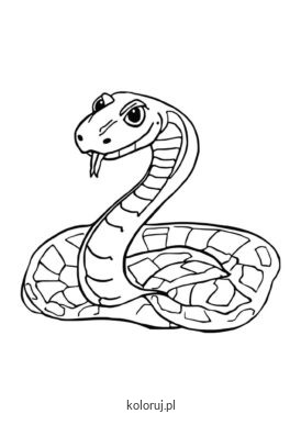 kolorowanka wąż